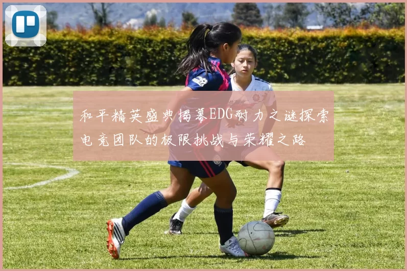 和平精英盛典揭幕EDG耐力之谜探索电竞团队的极限挑战与荣耀之路