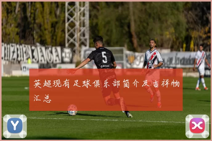 英超现有足球俱乐部简介及吉祥物汇总