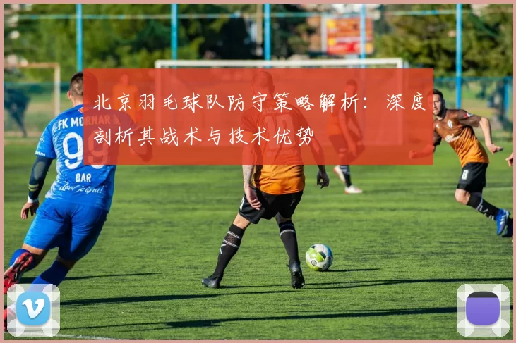北京羽毛球队防守策略解析：深度剖析其战术与技术优势