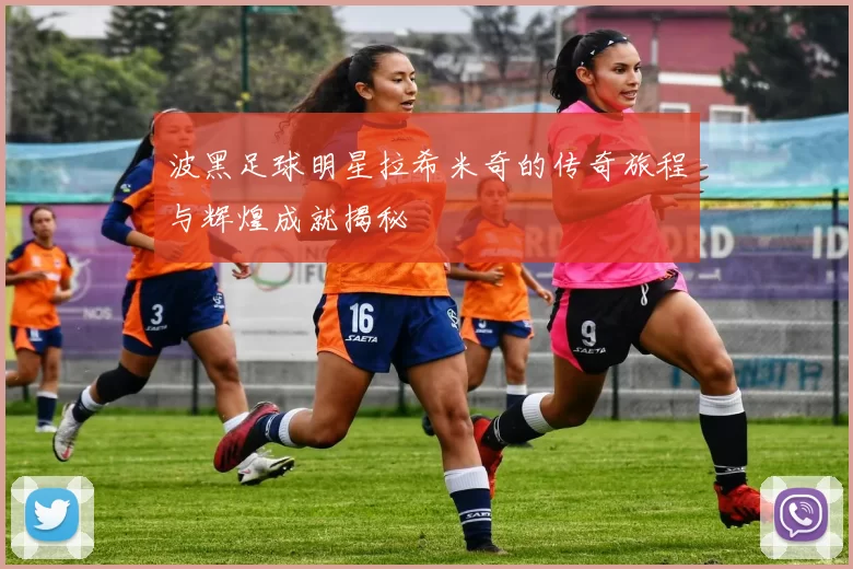 波黑足球明星拉希米奇的传奇旅程与辉煌成就揭秘