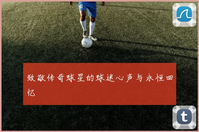 致敬传奇球星的球迷心声与永恒回忆
