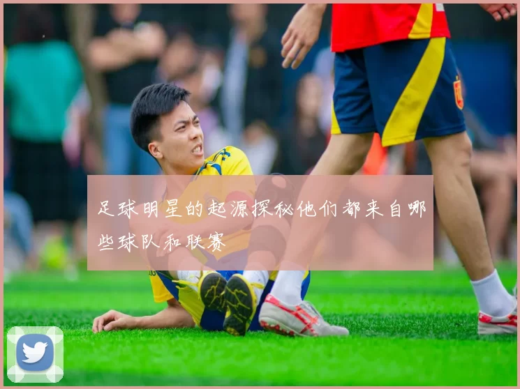 足球明星的起源探秘他们都来自哪些球队和联赛