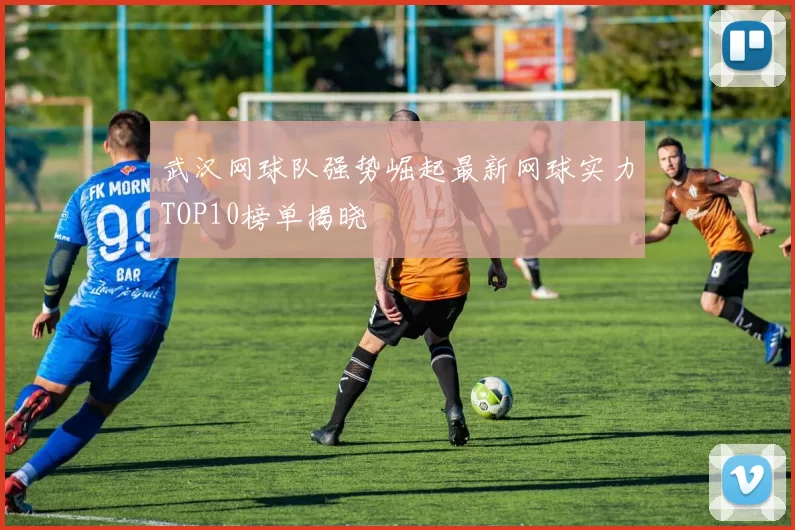 武汉网球队强势崛起最新网球实力TOP10榜单揭晓