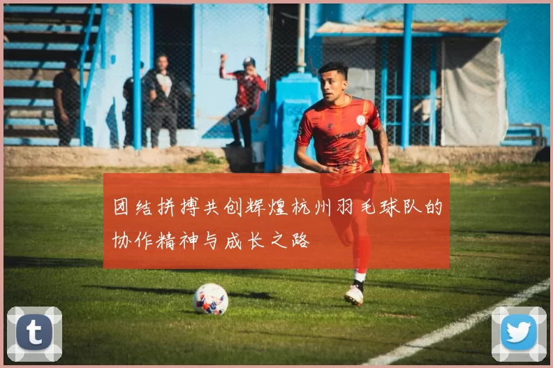 团结拼搏共创辉煌杭州羽毛球队的协作精神与成长之路