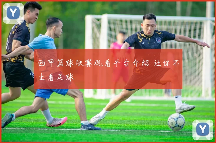 西甲篮球联赛观看平台介绍 让你不止看足球