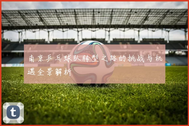 南京乒乓球队转型之路的挑战与机遇全景解析