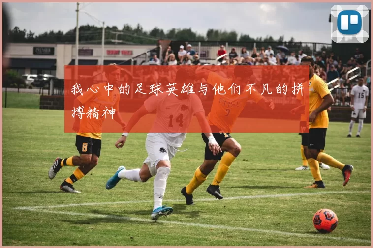 我心中的足球英雄与他们不凡的拼搏精神