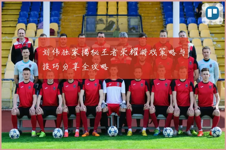 刘伟独家揭秘王者荣耀游戏策略与技巧分享全攻略
