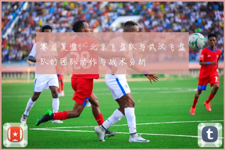 赛后复盘：北京飞盘队与武汉飞盘队的团队协作与战术分析