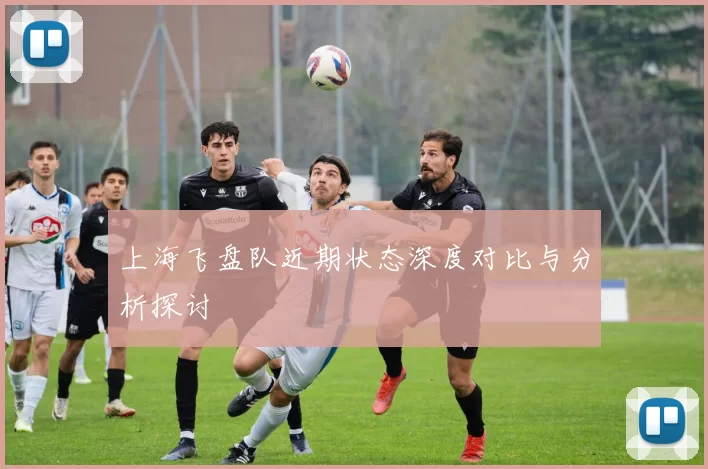 上海飞盘队近期状态深度对比与分析探讨