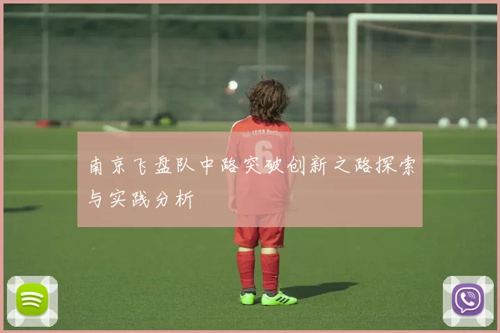 南京飞盘队中路突破创新之路探索与实践分析