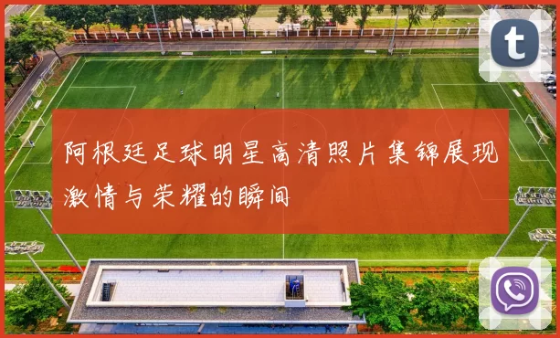阿根廷足球明星高清照片集锦展现激情与荣耀的瞬间