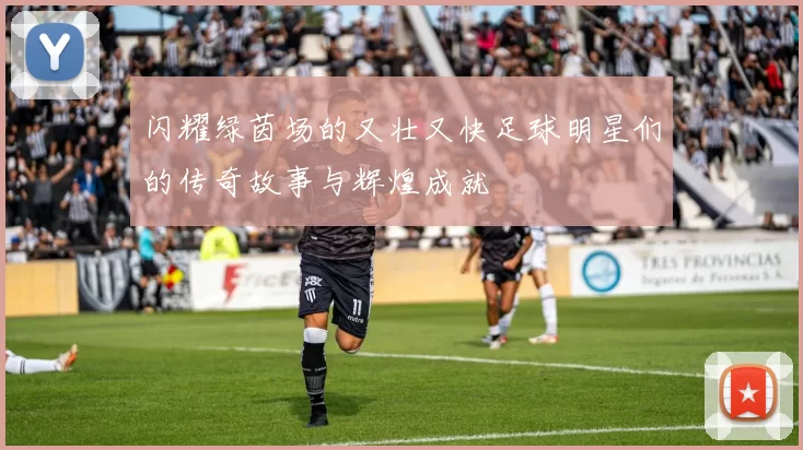 闪耀绿茵场的又壮又快足球明星们的传奇故事与辉煌成就