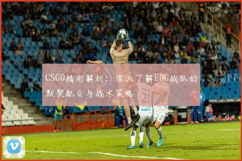 CSGO精彩解析：深入了解EDG战队的默契配合与战术策略
