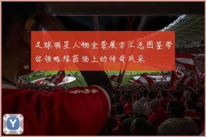 足球明星人物全景展示汇总图鉴带你领略绿茵场上的传奇风采