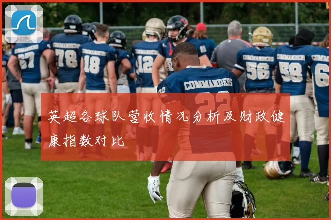 英超各球队营收情况分析及财政健康指数对比