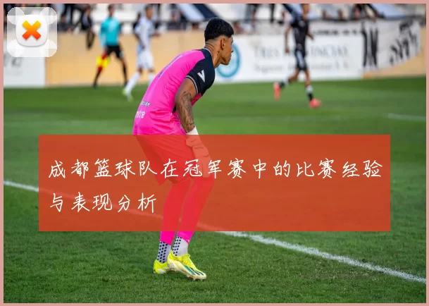 成都篮球队在冠军赛中的比赛经验与表现分析