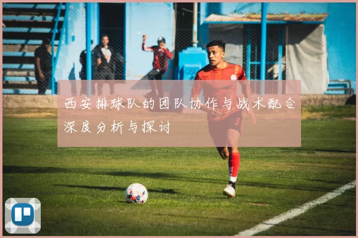 西安排球队的团队协作与战术配合深度分析与探讨