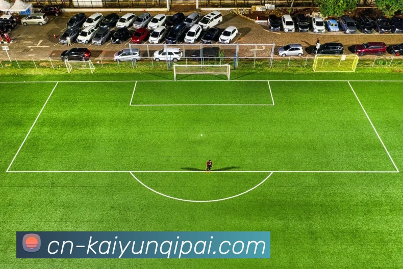 开云下载APP 封面图