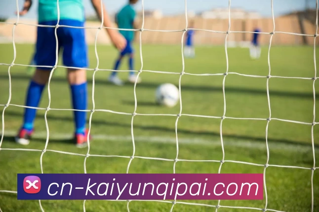 数据防护可视化